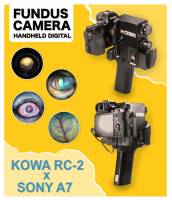 Nos prestations sur le secteur de Toulouse en Haute-Garonne